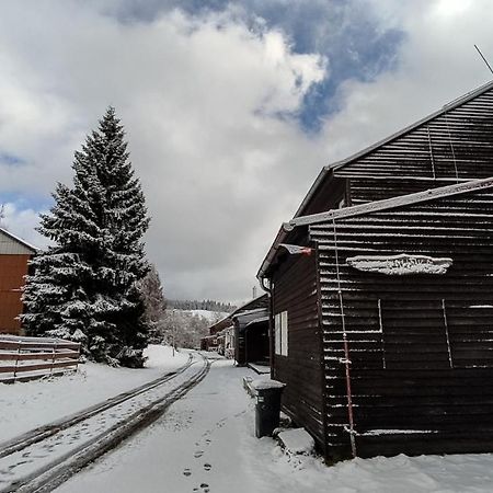 Penzion apartmány Aninka Mariánská Exteriér fotografie